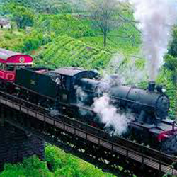  Nuwara Eliya